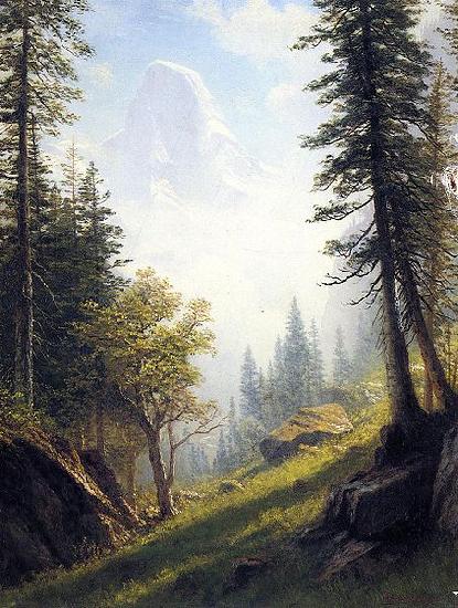 Albert Bierstadt Among the Bernese Alps oil painting picture